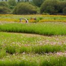 힐링 캐리커쳐 드로잉 이미지