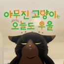 야무진세탁 이미지