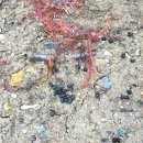 신명유치원 이미지