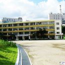 정동길 이미지
