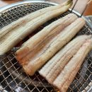 서하민물장어 이미지