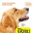SUNNYNE 이미지