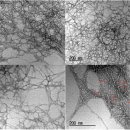 미래왕겨 이미지