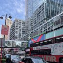 G-PARK | 2023년 10월 15일의 홍콩 (후) - Kowloon Park, 빈티지샵, K11, 스타의 거리, MoMA디자인스토어, SLEEP HKG