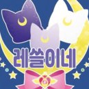 스마트인스 이미지