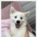 철장커뮤니티 이미지