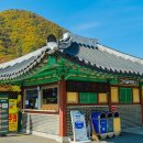 고씨굴 이미지