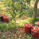 이슬농원 이미지