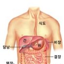 신비코 이미지
