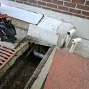 면목동-213 | 싱크대도 변기도 막혀서 난리… 중랑구·합정 모두 해결한 후기