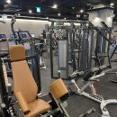 엠휘트니스 | 선릉역헬스장 추천 해머스트렝스 휘트니스엠 PT 후기