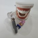 서울역예치과의원 이미지