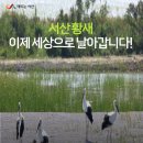 서산버드랜드 이미지