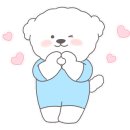 봉화강아지마을 이미지