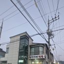 술상바다횟집