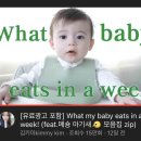 메이숑 이미지