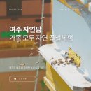 대한농장 | 꿀벌과 함께 하는 가족 농장체험! 서울근교 여주자연팜 체험후기