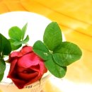 ‘급하게 입원’한 김건희, 아산병원 선택한 이유가 충격적입니다(갈비뼈? 재건? 액땜?) 이미지