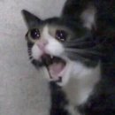 보스 PC방 이미지