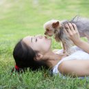 월드펫동물병원 이미지