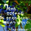 명륜진사갈비(소룡점) 이미지