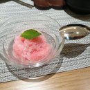 사철국화 이미지