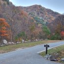 고산농장 1 이미지