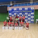 하계 땅끝해남기 전국 초등학교 배구대회 이미지