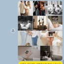 홈 | 집에서 찍은 가장 우리다운 기록｜은희홈스냅 반려견 동반 만삭 홈스냅 후기