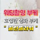 예퍼 | 퀄리티 좋은 촬영부케 호접란 :: 퀼린플라워