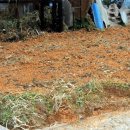 수기농장 이미지