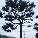 먼동1펜션