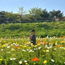 함평책집 이미지