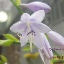 현이정식 이미지