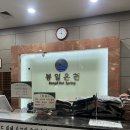 (주)관악 정문동 사우나 | 웰니스 트렌드 사우나 봉천동 봉일온천 내돈내산 후기