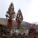 가창중학교 이미지