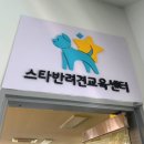 스타반려견 교육센터 이미지