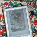 수안체육관 | 트로피컬 나이트 - 조예은