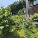 부용외천3리경로당 이미지