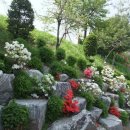 중랑천길 이미지