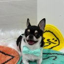 산현로132번길 이미지