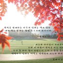 생명나무 이미지