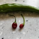 천주농장 이미지