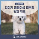고척 원 동물의료센터 이미지
