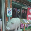 동가네 정육 회관 이미지