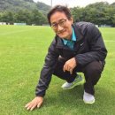 [서호정의 킥오프] 한국 축구 괴롭히는 잔디 논란, 원인과 해결책은? 이미지