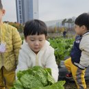 달콤뽑기 이미지