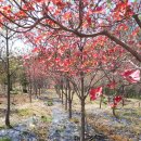 향원농장 이미지