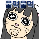 최가네먹거리