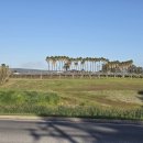 미송농장 이미지